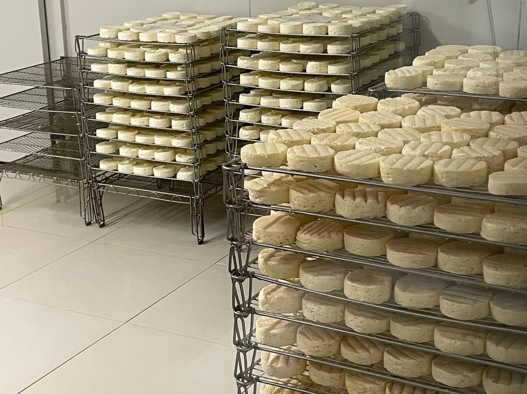 La Fromagerie du Vieux Moulin-Battice必去景点