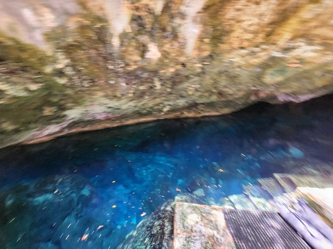 Dressel Divers Playa Del Carmen-普拉亚德尔卡曼必去景点