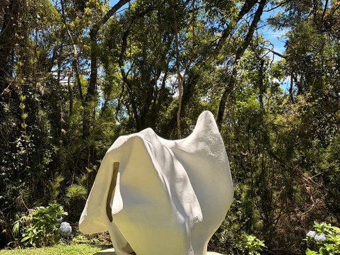 Museu Felícia Leirner-坎普斯－杜若尔当必去景点