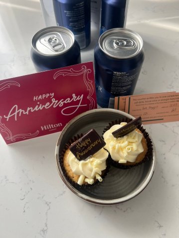 卡迪夫希尔顿酒店-客卧