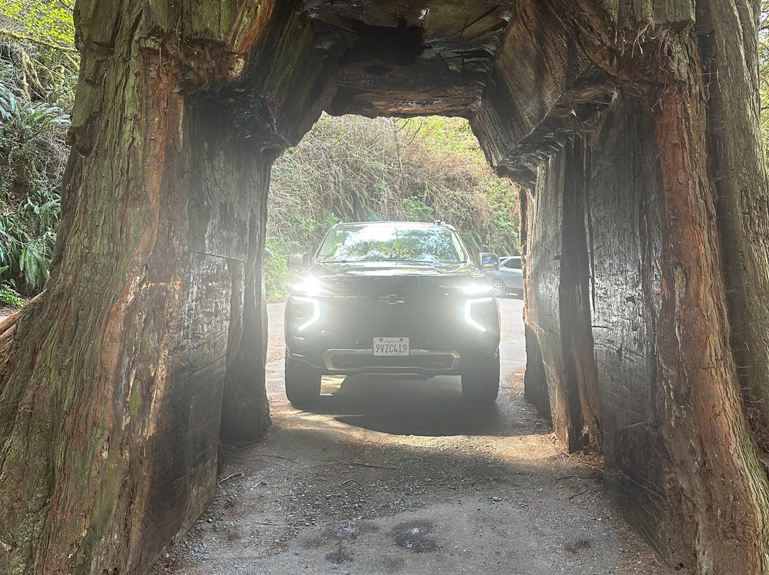 Tour-Through Tree-克拉马斯必去景点