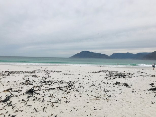 The House of Braganza-官方