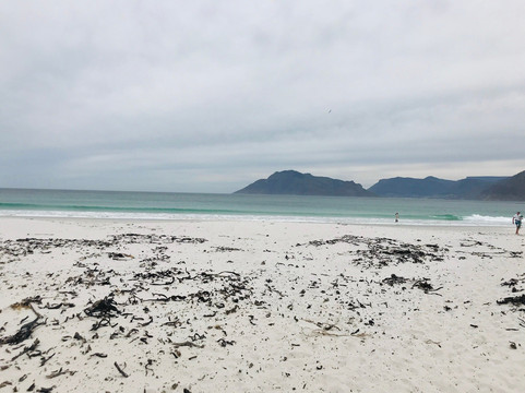 The House of Braganza主图