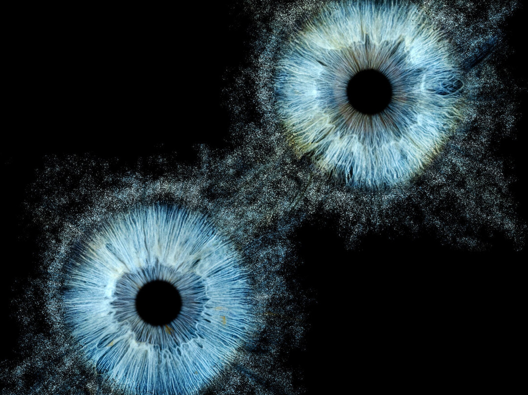 Iris Galerie Gent-根特必去景点