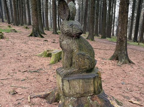 Beacon Fell Country Park-Goosnargh必去景点