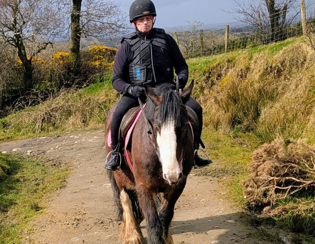 Sheans Horse Farm-Armoy必去景点