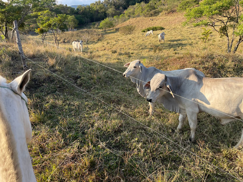 MonteTours-蒙特沃德必去景点