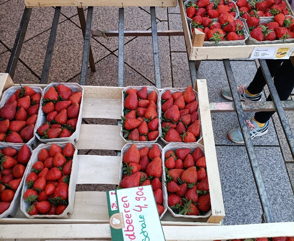 Neu-Ulmer Wochenmarkt-新乌尔姆县必去景点