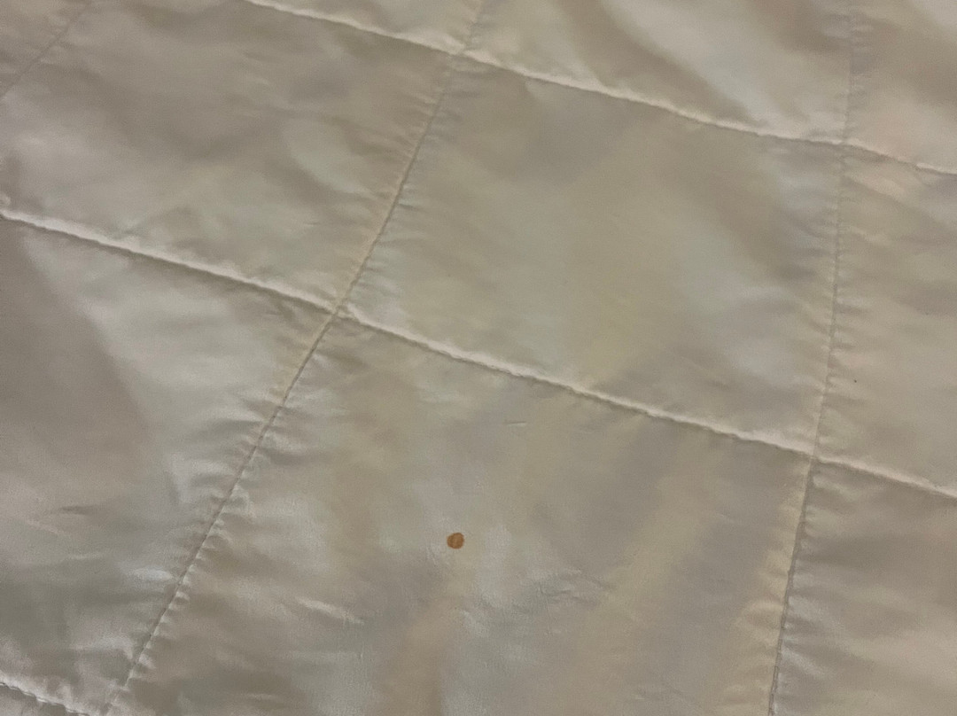 奥斯汀镇温德姆戴斯酒店主图