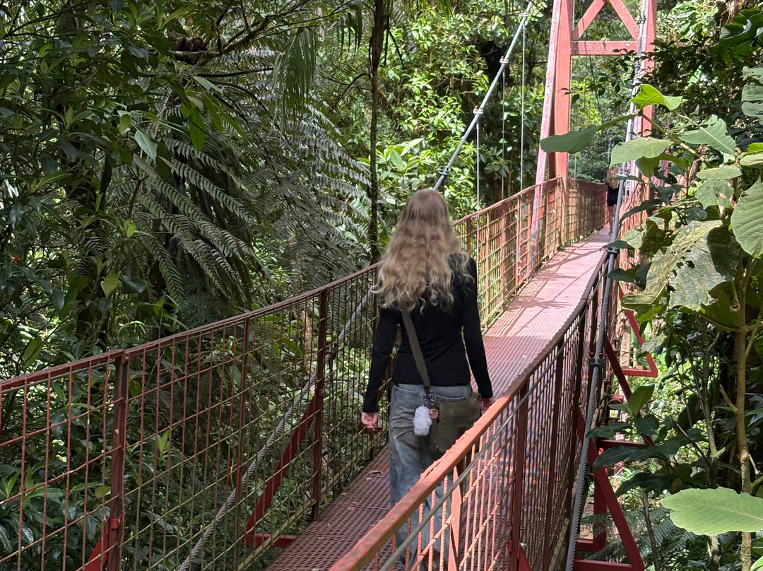 蒙特贝尔德浪漫小屋主图