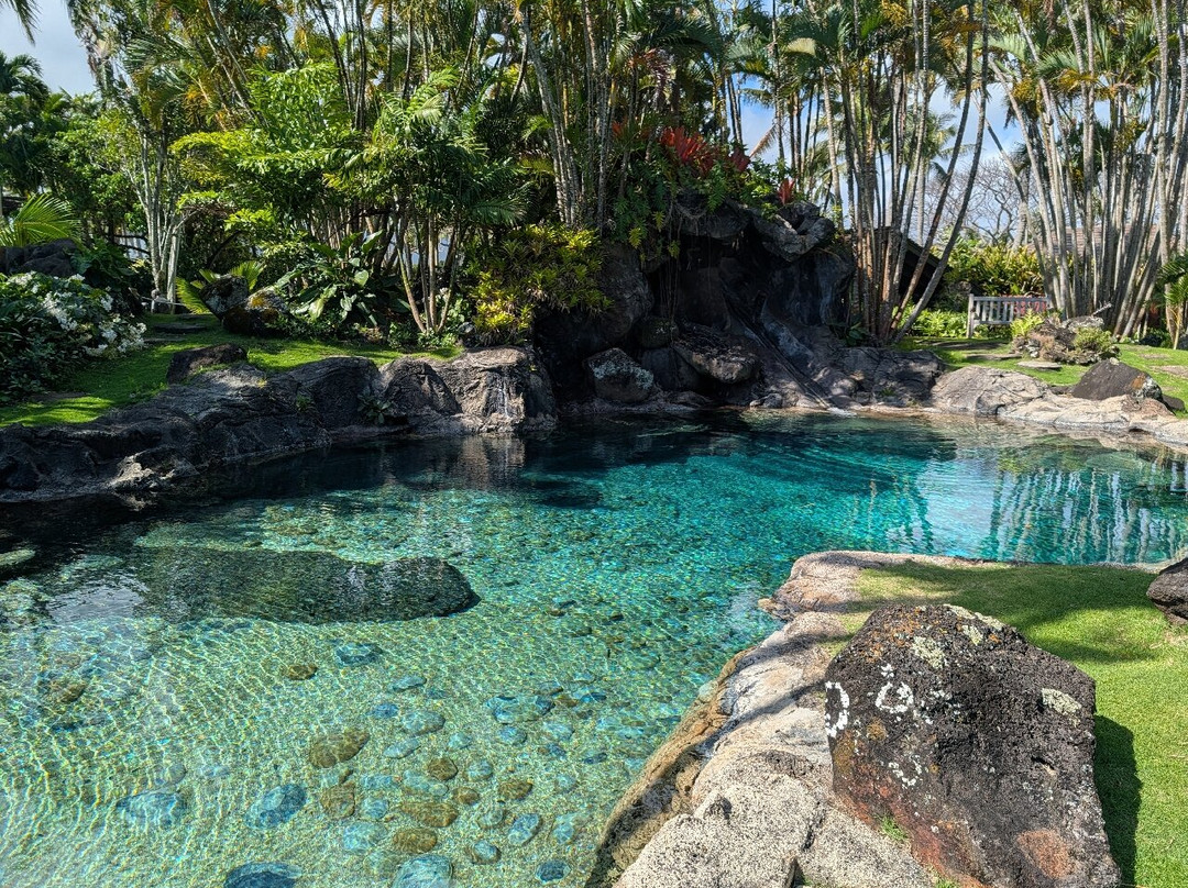 Na Aina Kai Botanical Gardens-基拉韦厄必去景点