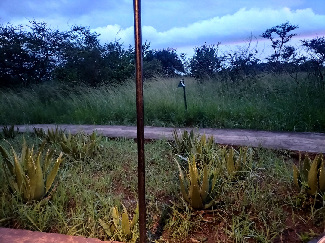 Ikoma Wild Camp主图