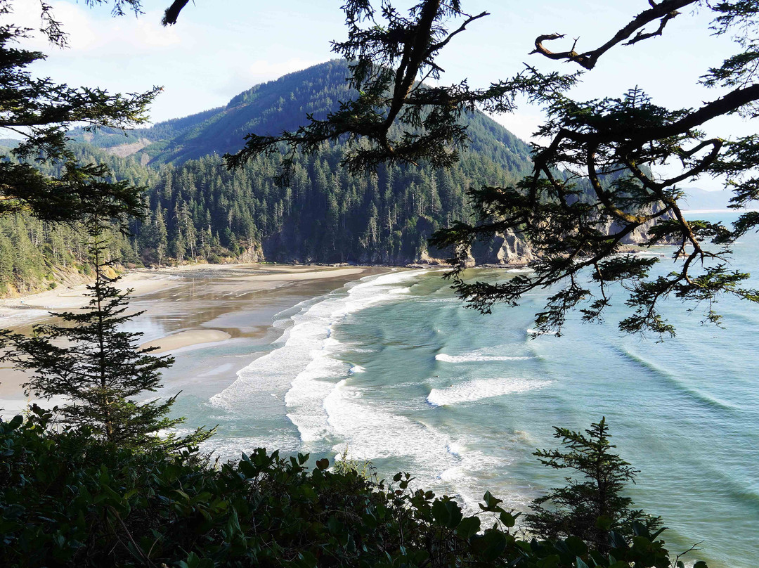 Oswald West State Park-坎农比奇必去景点