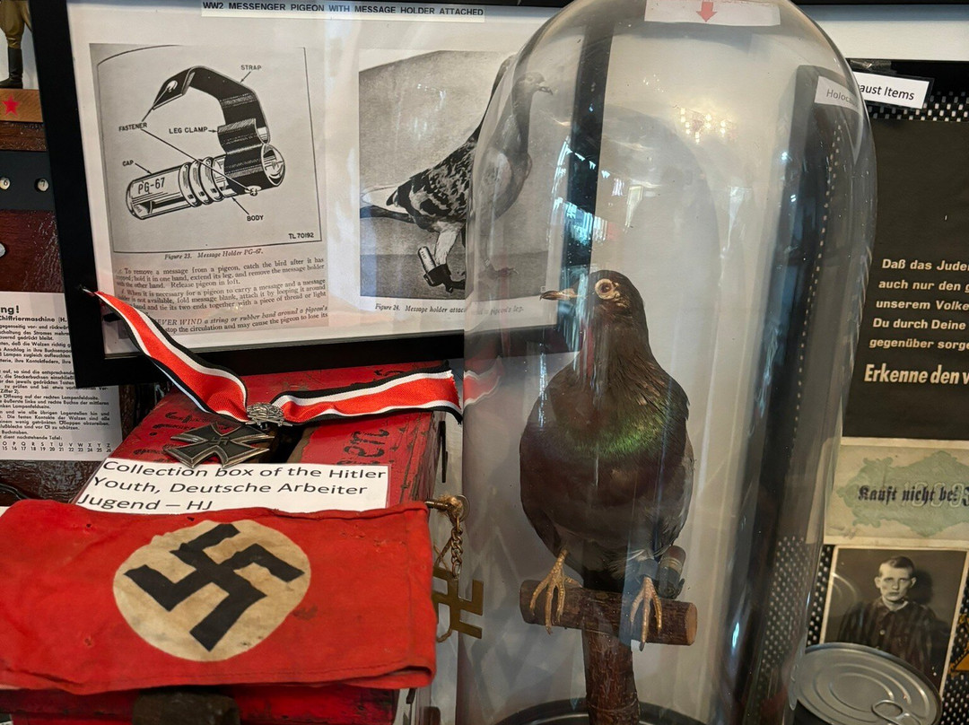 Grant WW2 Museum-纽尼顿必去景点