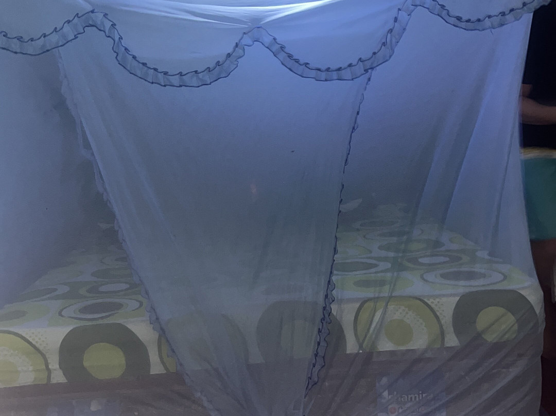 Tanjung Puting Borneo Tour-Pangkalan Bun必去景点