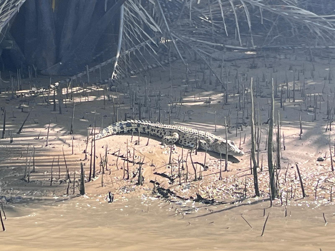 Kuantan River Cruise-关丹必去景点