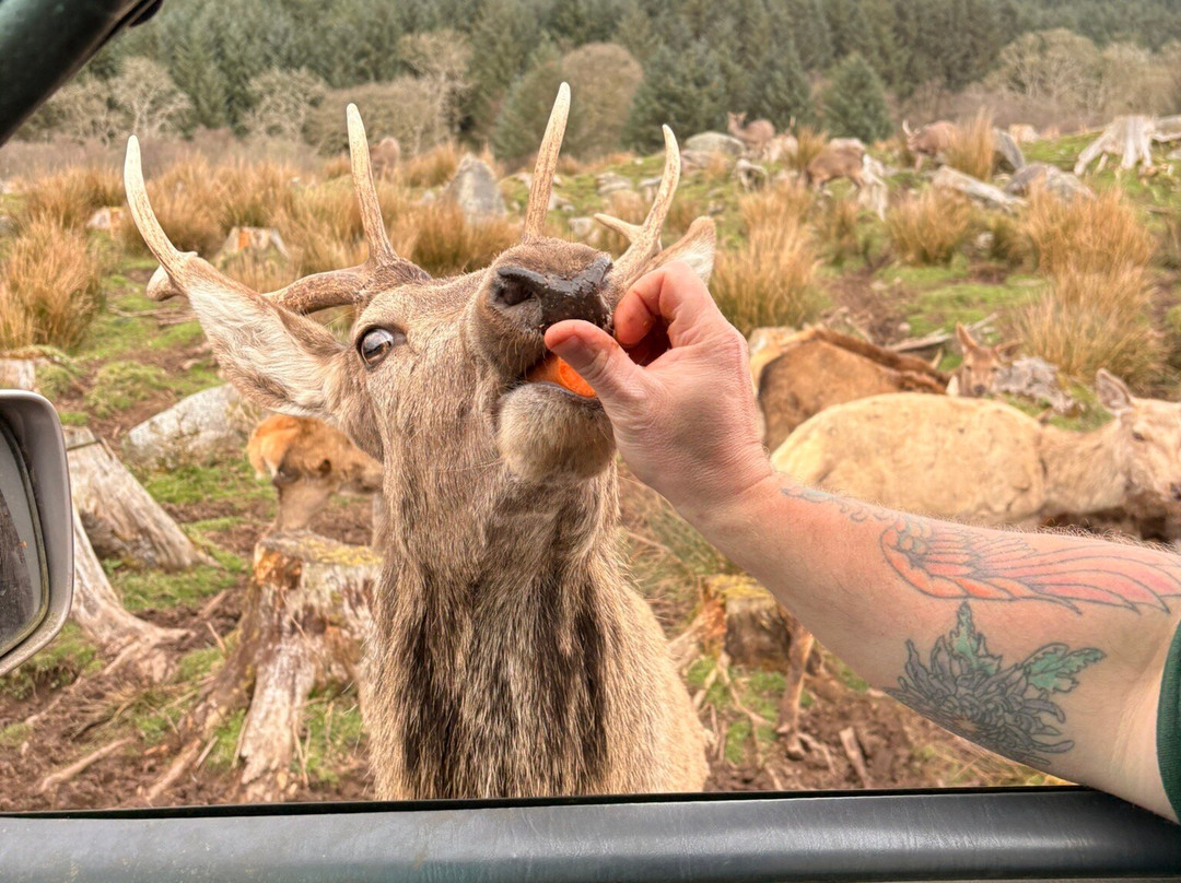 Bainloch Deer Park-Dalbeattie必去景点