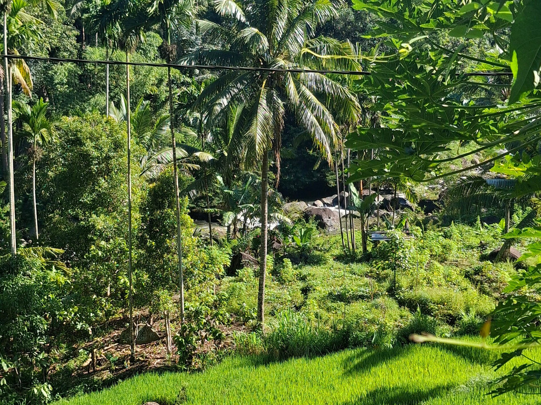 Gloria Tours & Travel-孟加锡必去景点