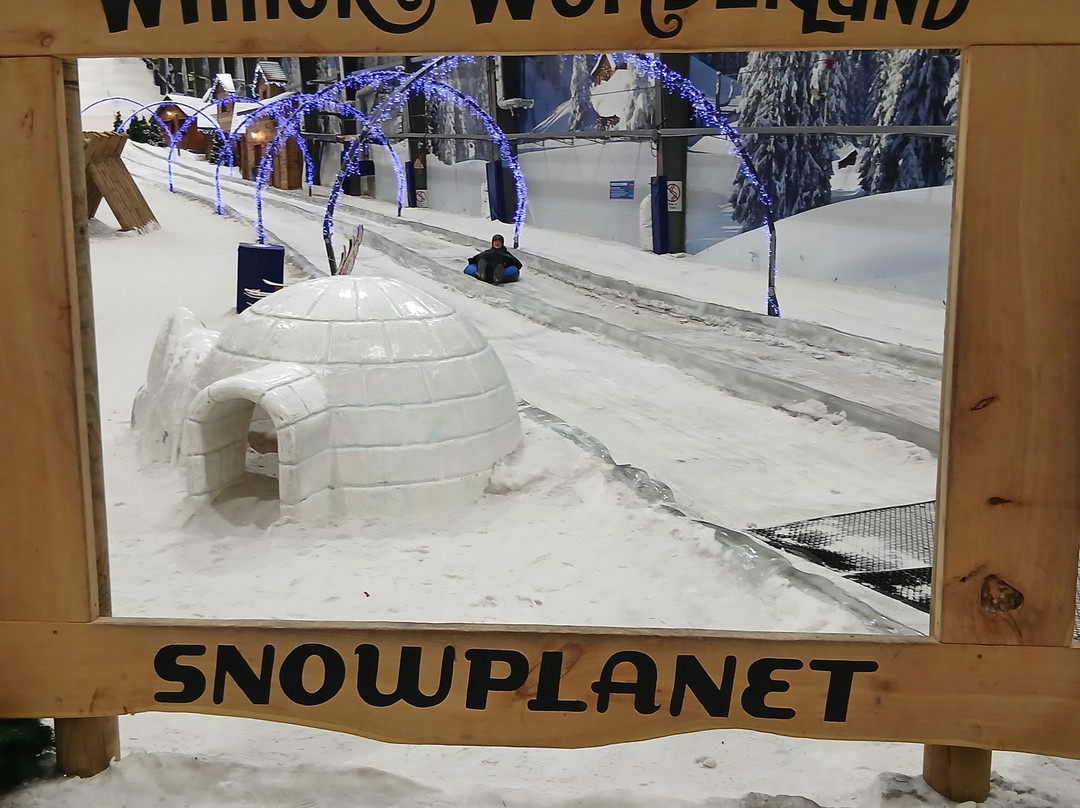 冰雪星球-Silverdale必去景点