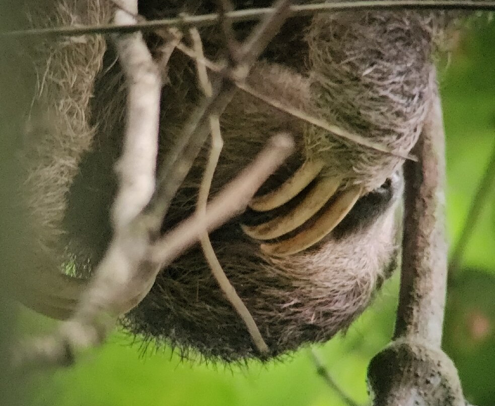Papa's Place-La Fortuna必去景点