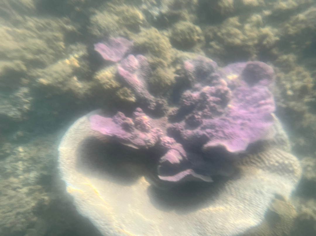 Nang Thong Beach-达瓜巴必去景点