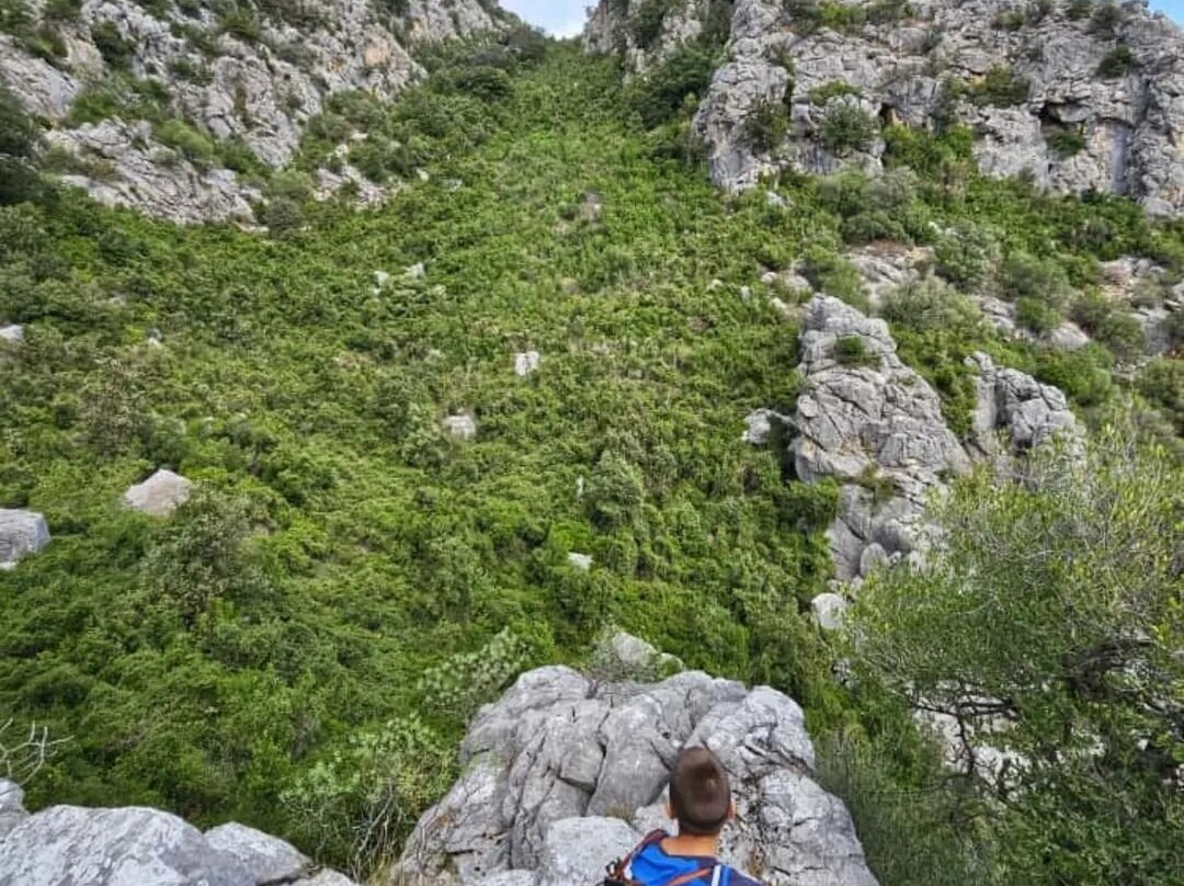 Montalbo-Siniscola必去景点