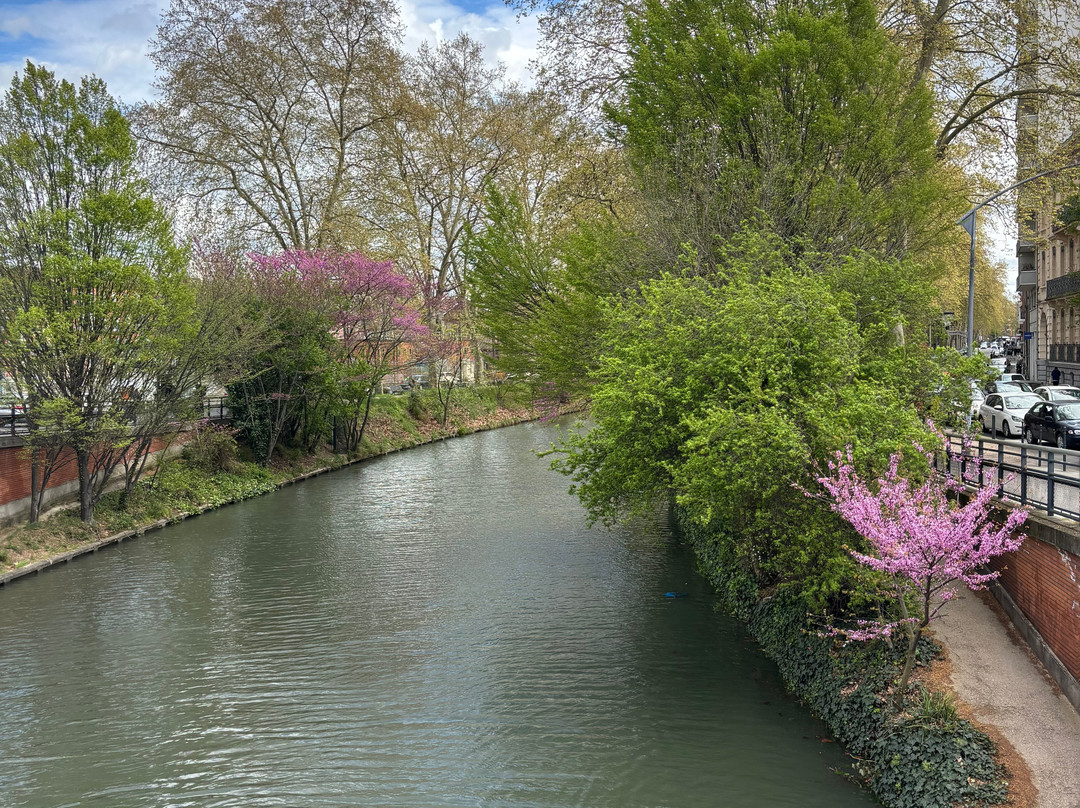 Canal de Brienne (Le)-图卢兹必去景点