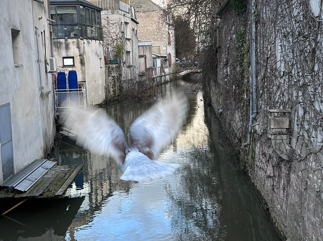 Le Circuit Des 17 Ponts De Montargis-Montargis必去景点