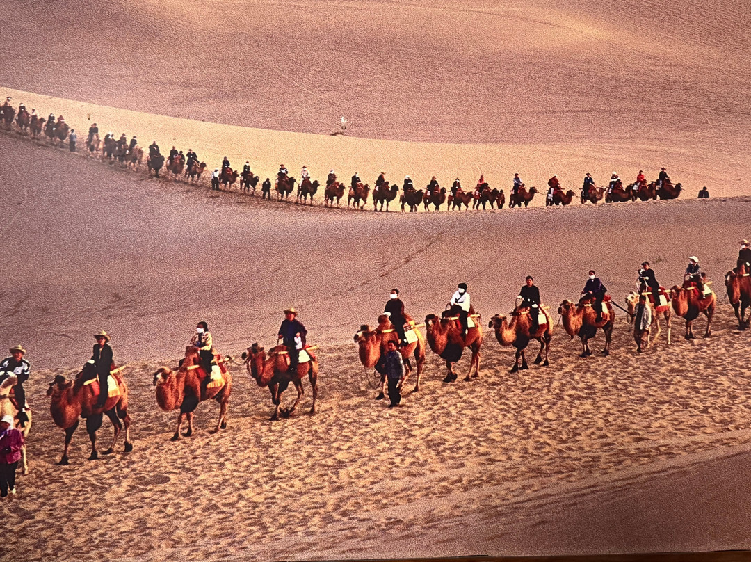 China Discovery-成都必去景点