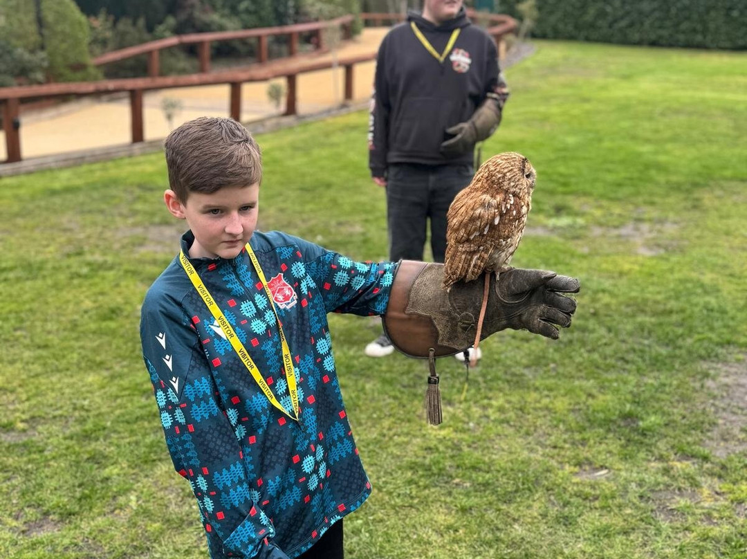 Cheshire Falconry-Northwich必去景点
