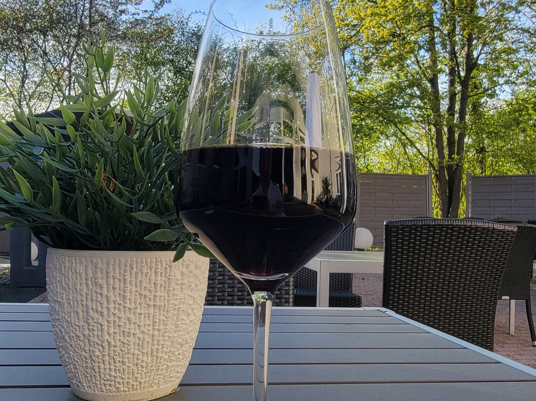 玛汗拉登堡莱纳杜酒店主图