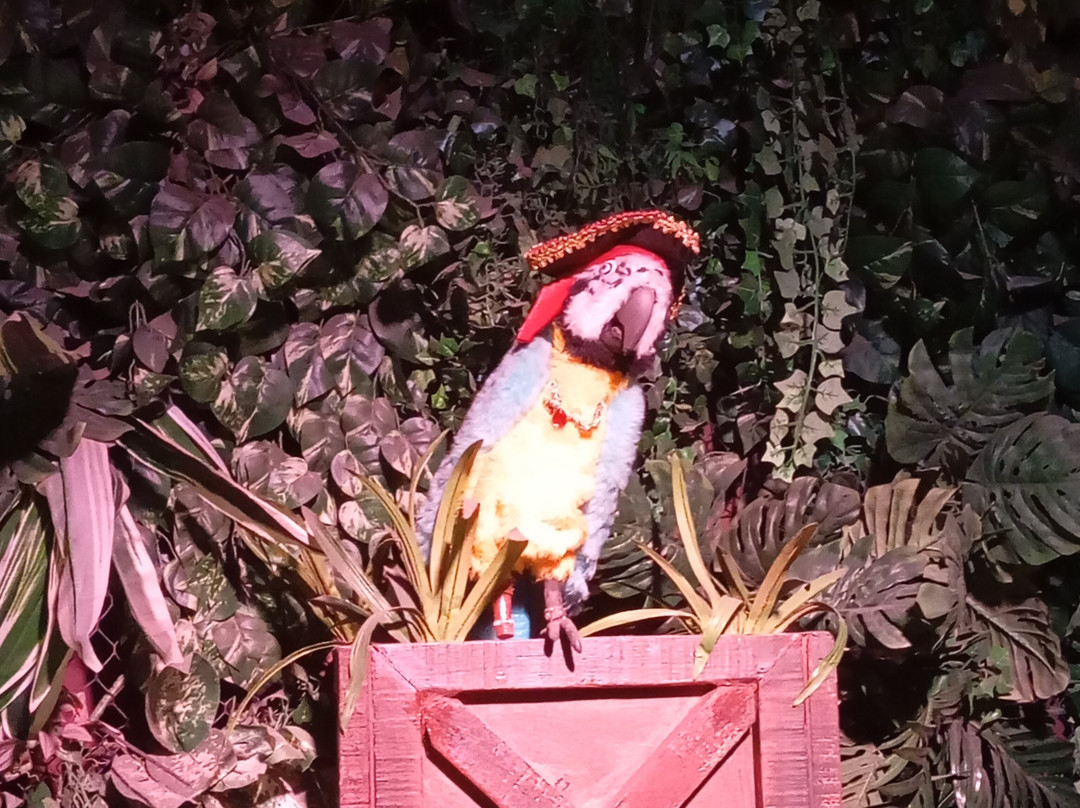 Aventura Pirata-康泊琉海水浴场必去景点