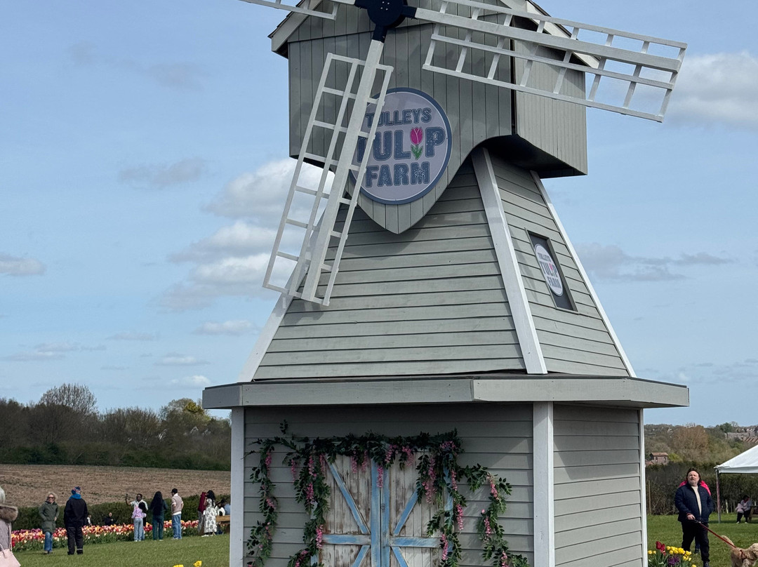 Tulleys Tulip Garden - Warwickshire-沃里克必去景点