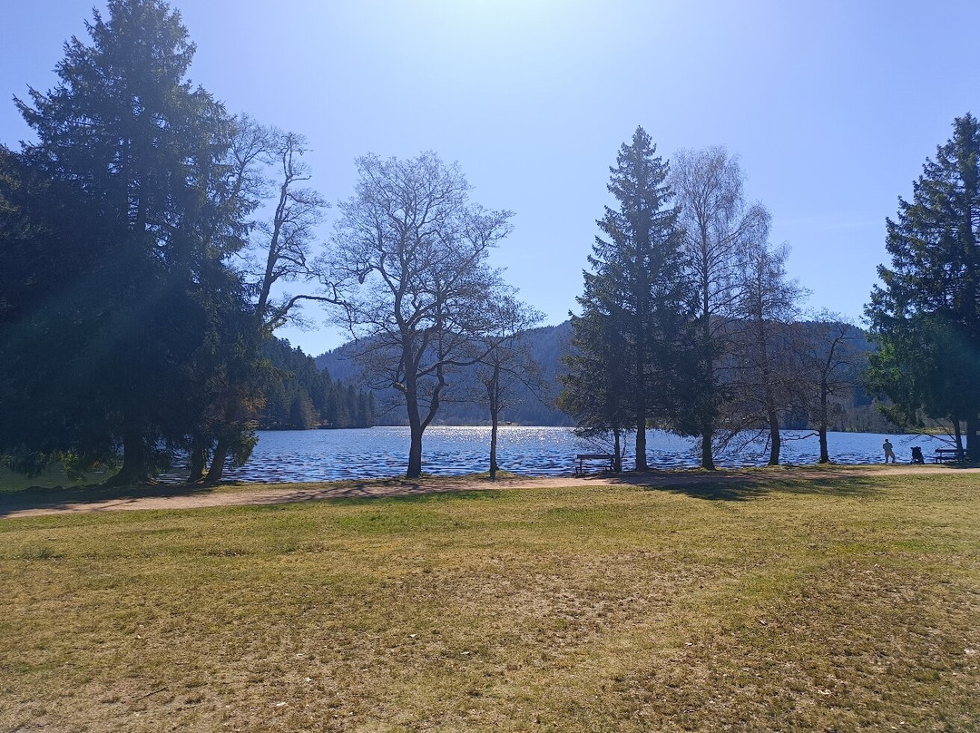 Lac de Longemer-Xonrupt-Longemer必去景点