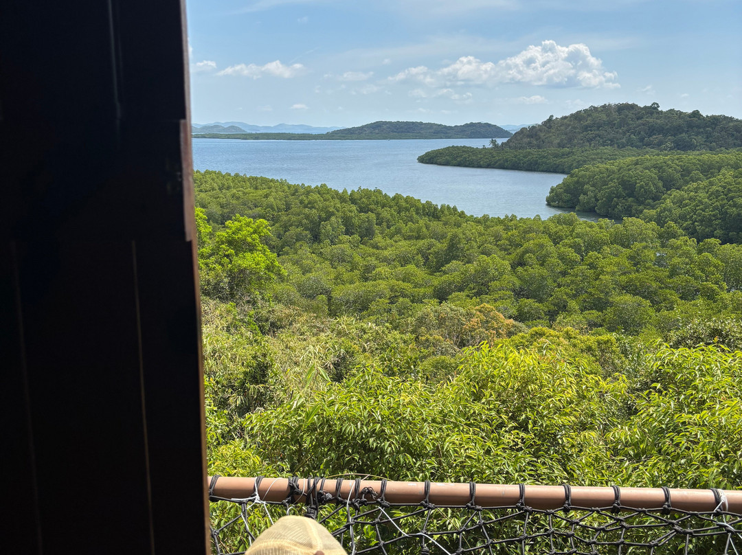 岛桑科图阿里亚树屋酒店主图