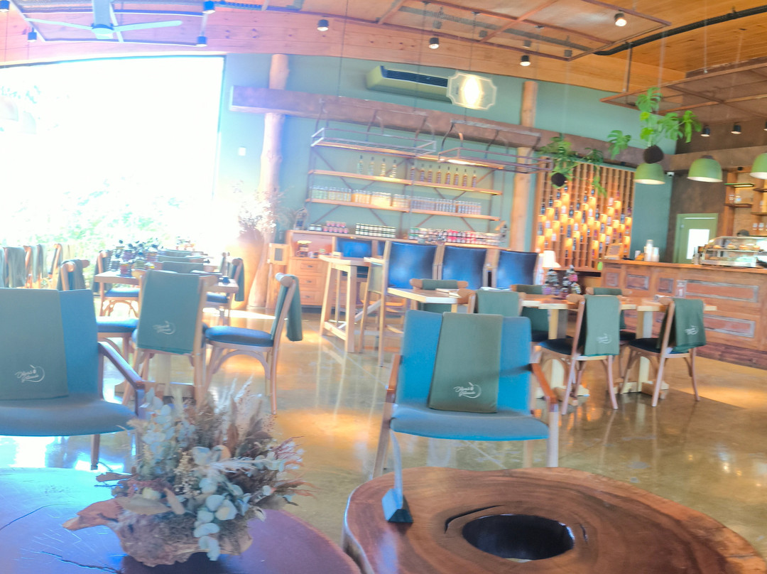 Parque Olivas de Gramado-格拉玛多必去景点