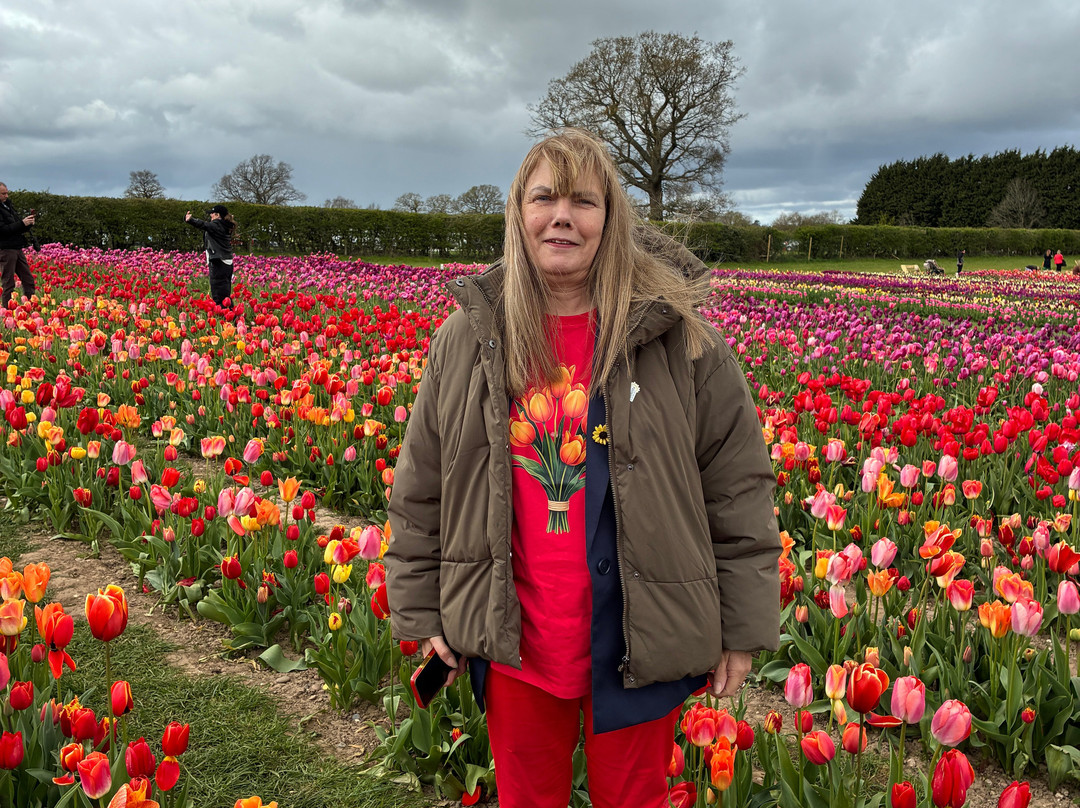 Tulleys Tulip Garden - Warwickshire-沃里克必去景点