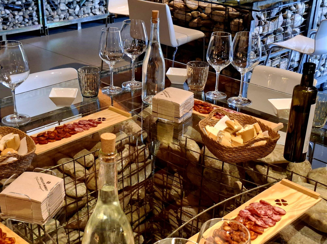 Bodegas Castillo de Mendoza-San Vicente de la Sonsierra必去景点