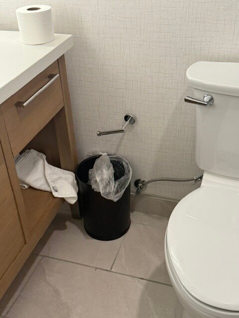 摩根敦学者饭店 - 希尔顿启缤精选饭店-浴室