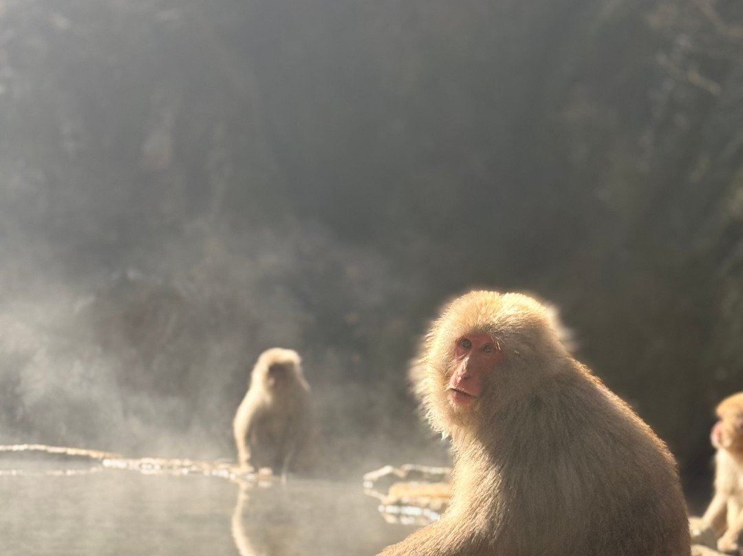 斯玛雅酒店主图