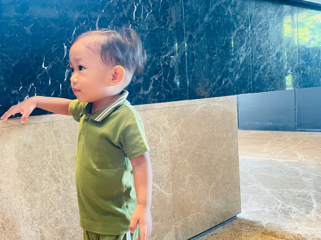 巨港萨提卡高级机场酒店主图