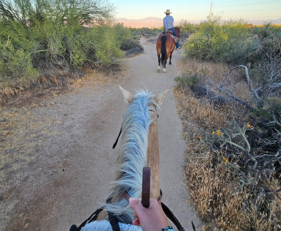 Wild West Horse Adventures-斯科茨代尔必去景点