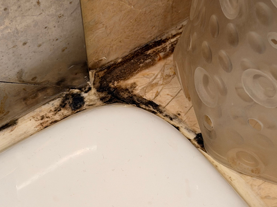 西安大雁塔假日酒店主图