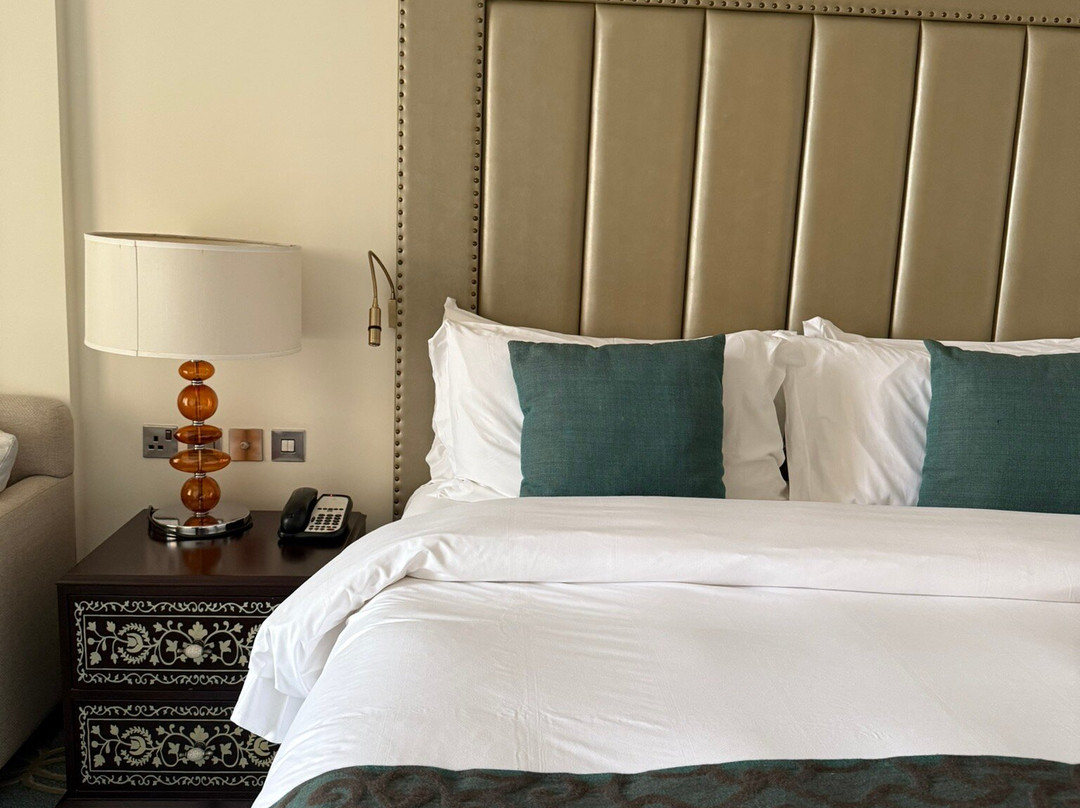 阿吉曼萨雷豪华精选度假村主图