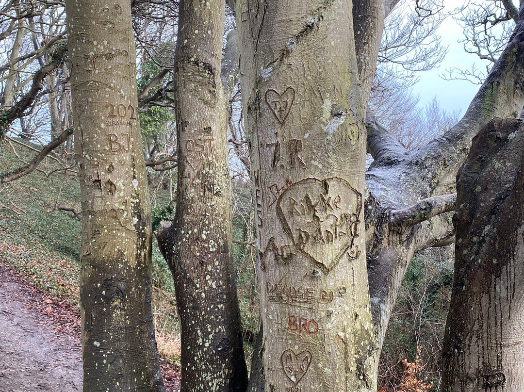 Nationalpark Mols Bjerge-Roende必去景点