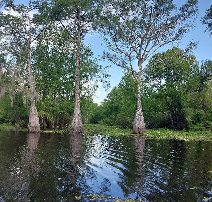 Cajun Customized Excursions-Arnaudville必去景点