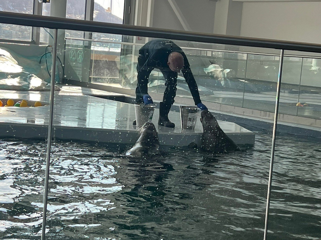 北极星水族馆-特罗姆瑟必去景点