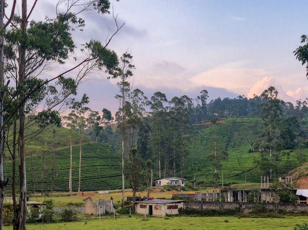 Amazing Travels & Tours Sri Lanka-科奇克德必去景点