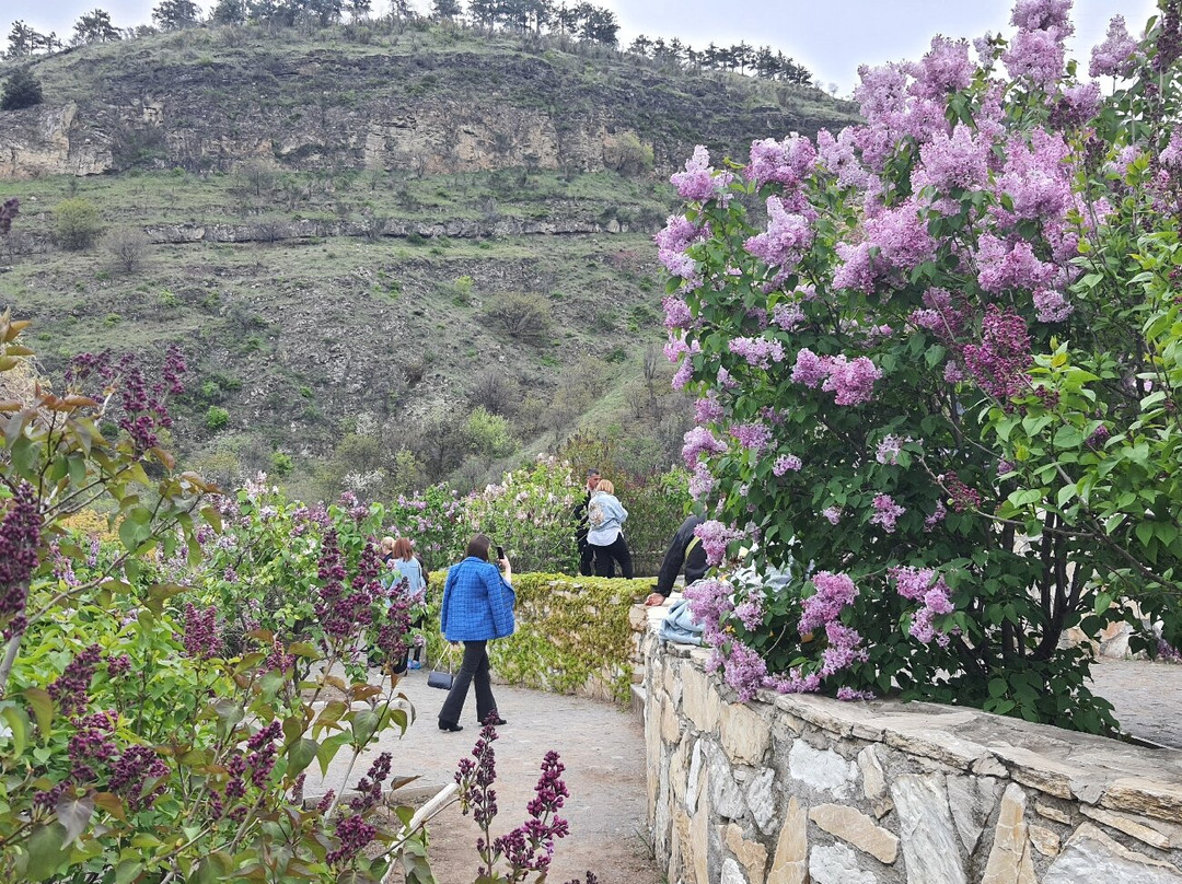 National Botanical Garden of Georgia-第比利斯必去景点