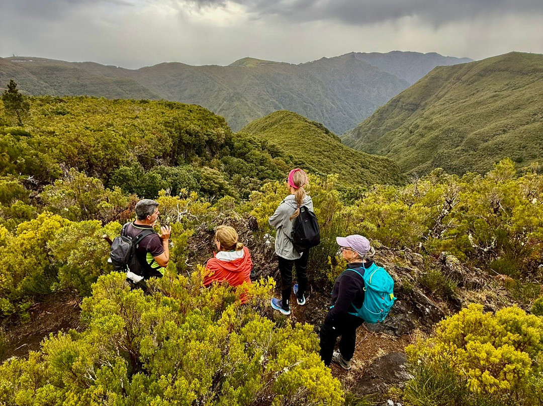 Madeira Wonder Hikes-沙尔必去景点